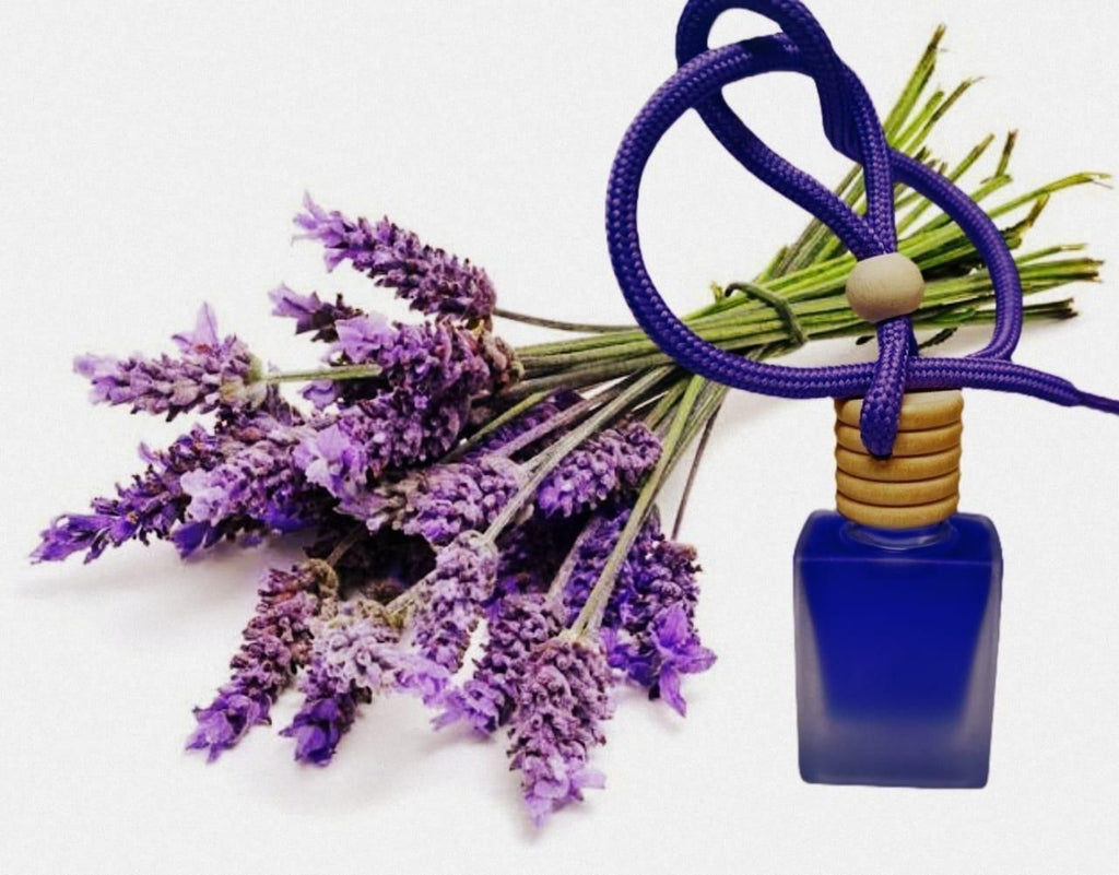 Hanging Car Perfume Pods Diffuser Scent (Assorted Perfume)